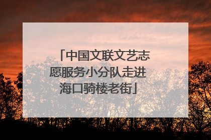 中国文联文艺志愿服务小分队走进海口骑楼老街
